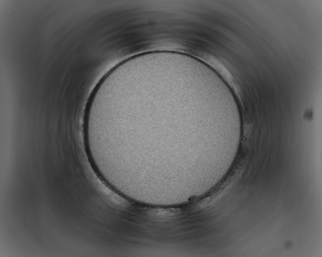 X0000101990947200808081632