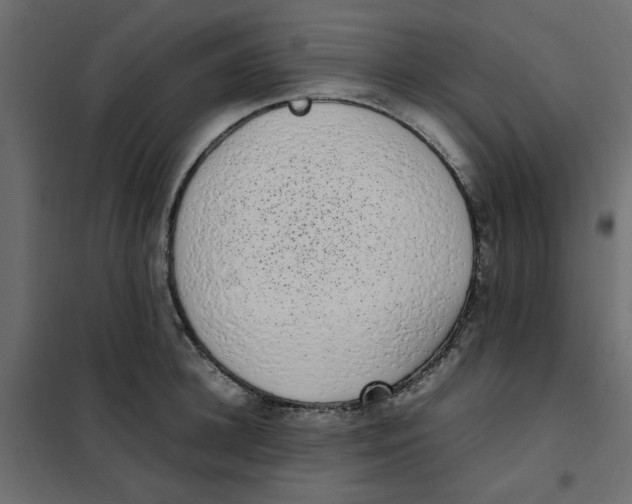 X0000101990948200808081632