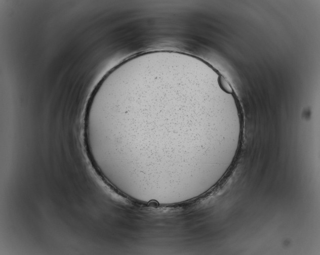 X0000101990949200808081632