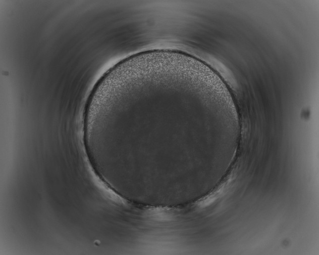 X0000101990950200808081632