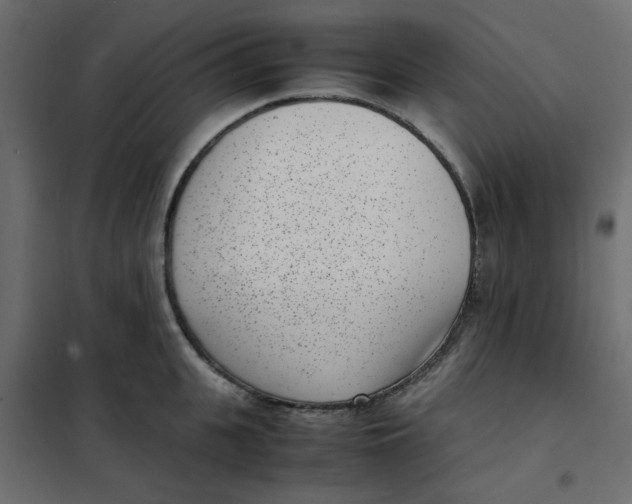 X0000101990951200808081632