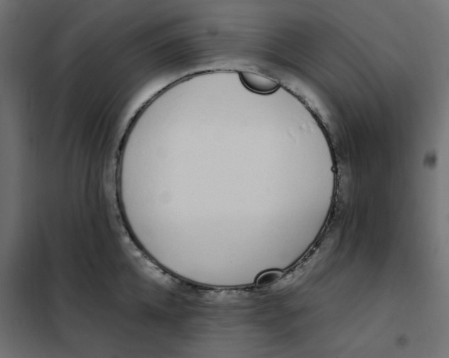 X0000101990952200808081632