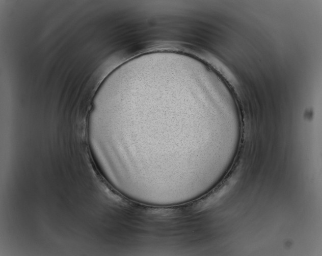 X0000101990953200808081632