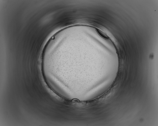 X0000101990955200808081632