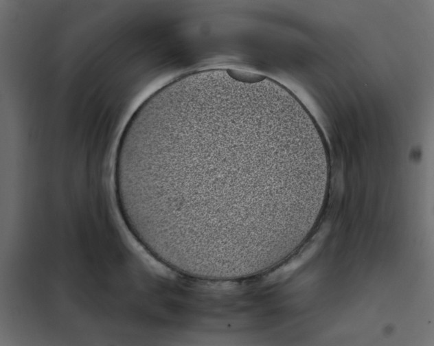 X0000101990957200808081632