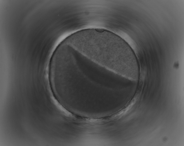 X0000101990958200808081632