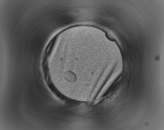 X0000101990959200808081632