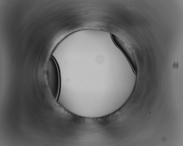 X0000101990960200808081632