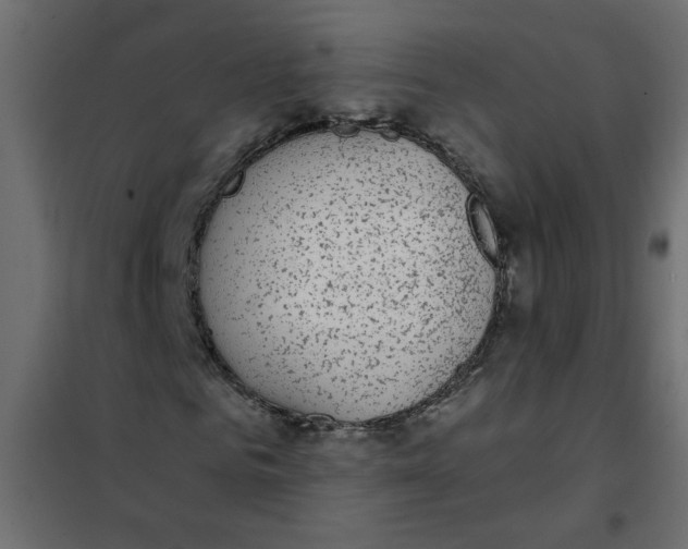 X0000101990961200808081631