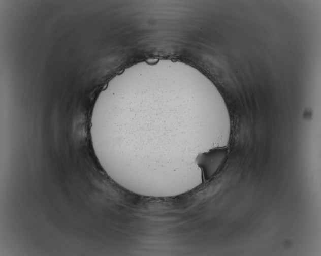 X0000101990962200808081631