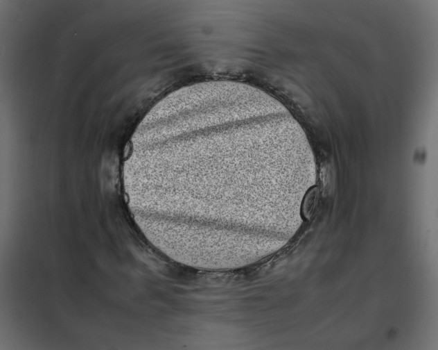 X0000101990963200808081631