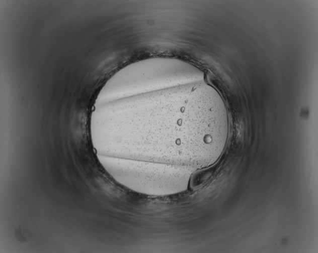 X0000101990964200808081631