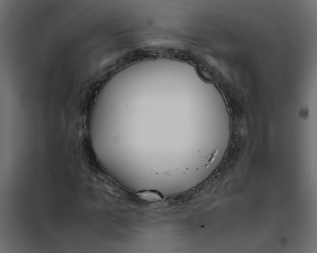 X0000101990965200808081631