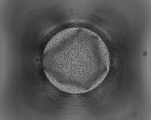 X0000101990966200808081631