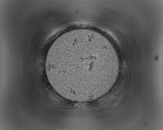 X0000101990967200808081631