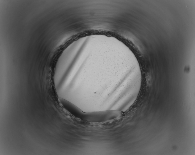 X0000101990968200808081631