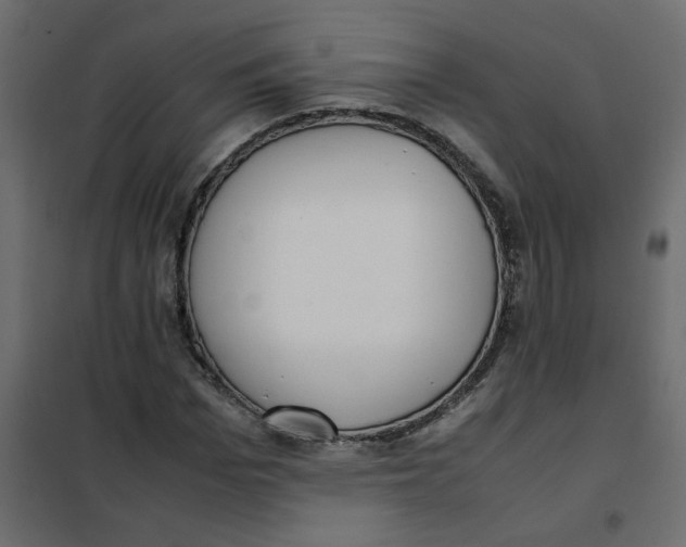 X0000101990969200808081631