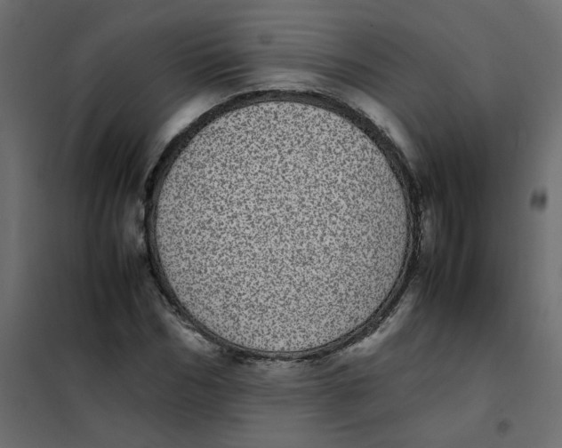 X0000101990970200808081631