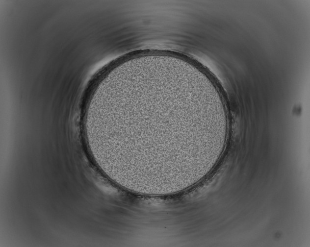 X0000101990971200808081631