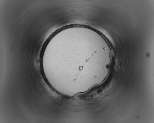 X0000101990972200808081631