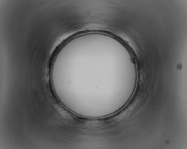 X0000101990973200808081631