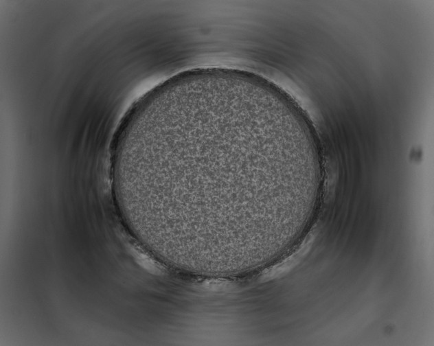 X0000101990974200808081631