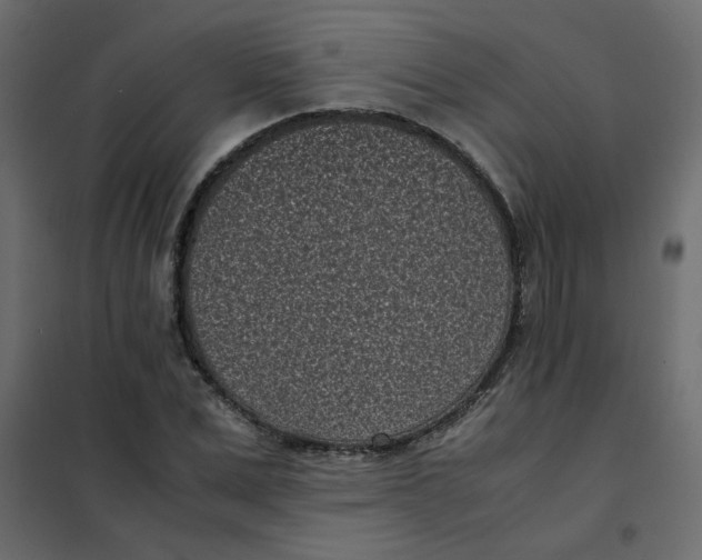 X0000101990975200808081631