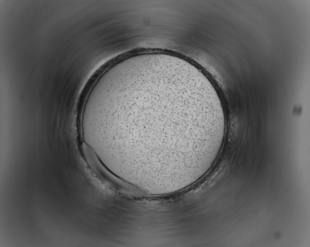 X0000101990976200808081631