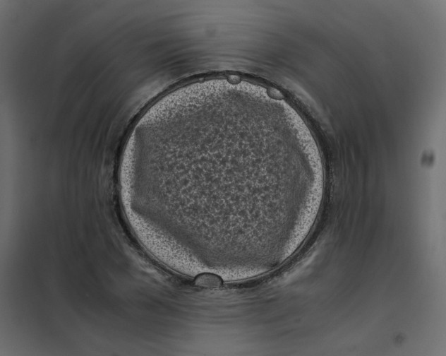 X0000101990977200808081631