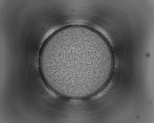 X0000101990978200808081631