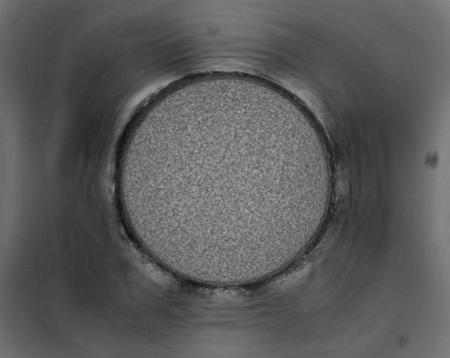 X0000101990979200808081631