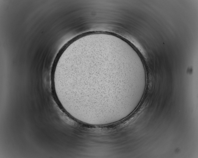 X0000101990980200808081631