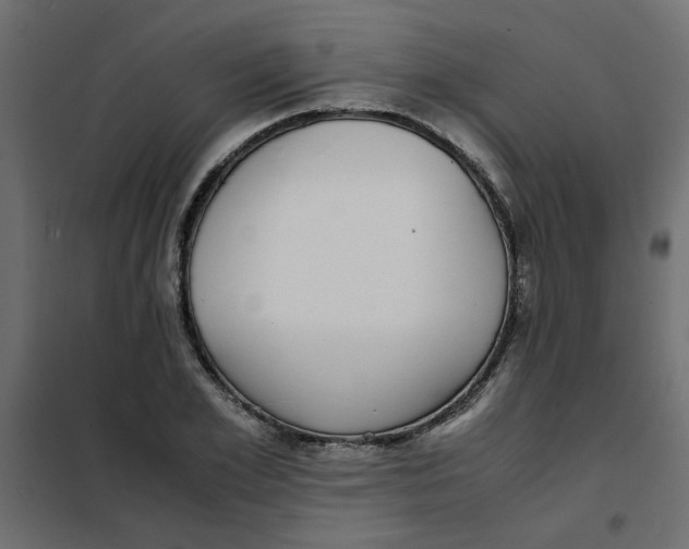 X0000101990981200808081631