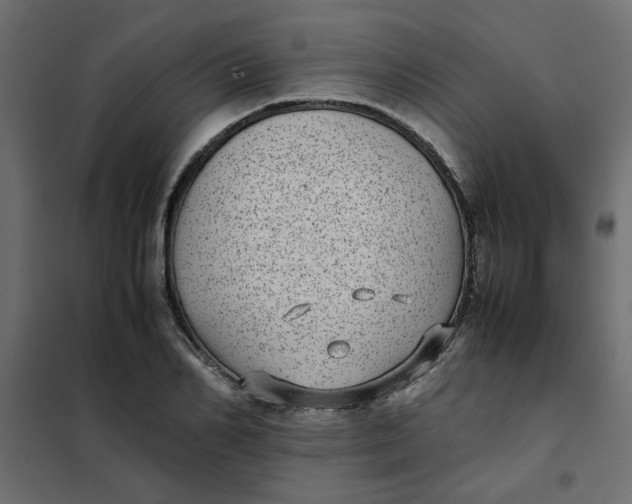 X0000101990982200808081631