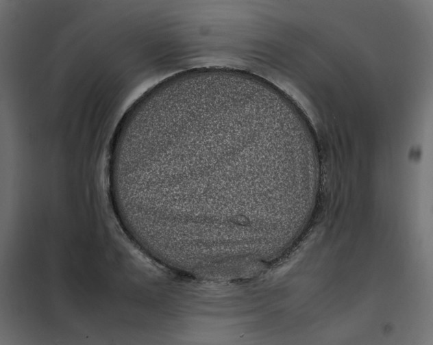 X0000101990983200808081631