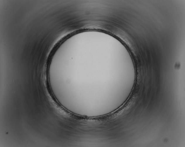 X0000101990984200808081631