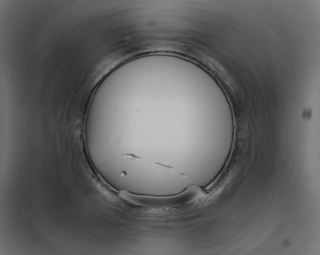 X0000101990985200808081631