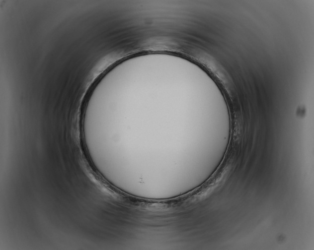 X0000101990986200808081631