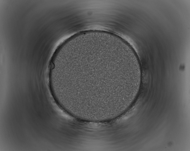 X0000101990987200808081631