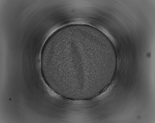 X0000101990988200808081631