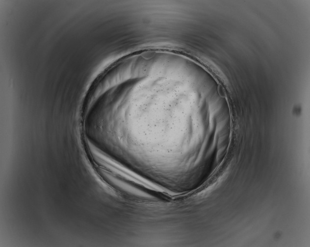 X0000101990989200808081631