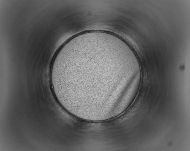 X0000101990990200808081631