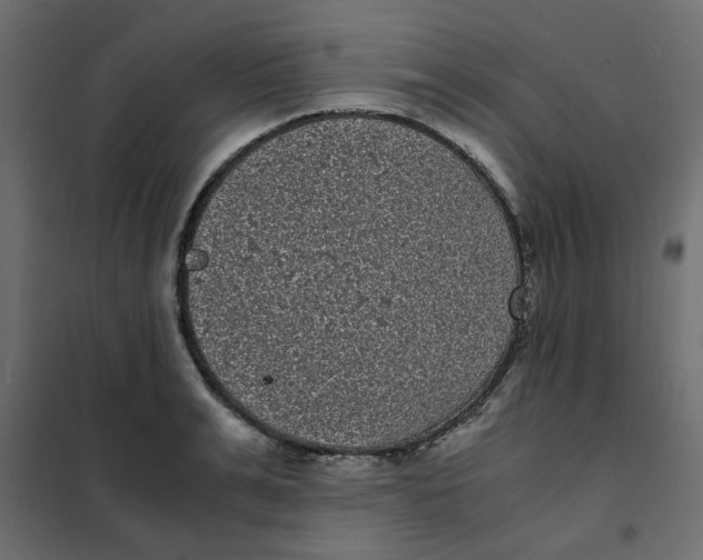 X0000101990991200808081631