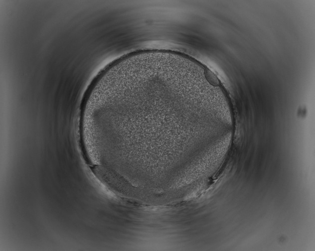 X0000101990992200808081631