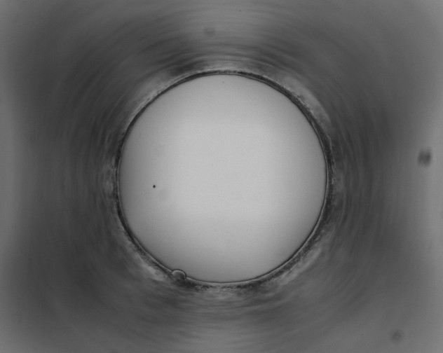 X0000101990993200808081631