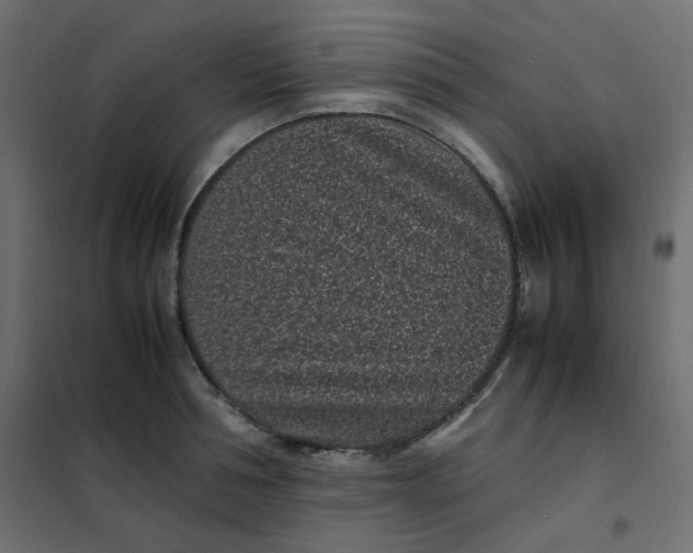 X0000101990994200808081631