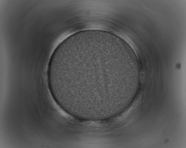 X0000101990995200808081631