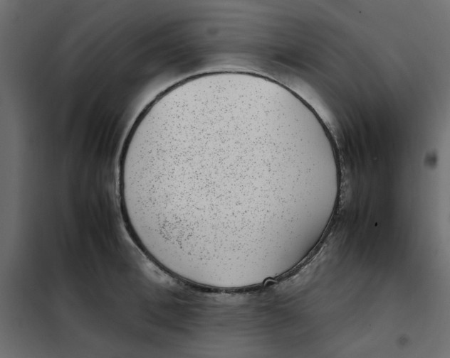 X0000101990996200808081631