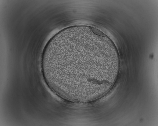 X0000101990997200808081631