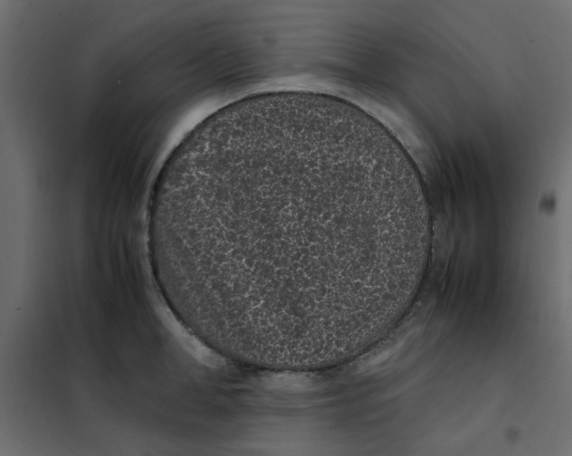 X0000101990998200808081631